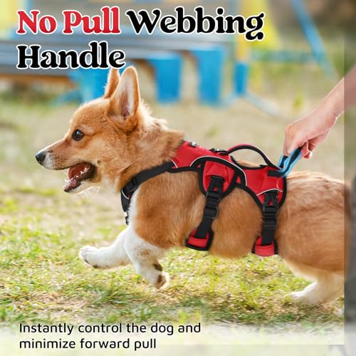 Escape Proof Dog Harness for Small (Red / Small)