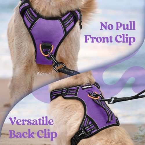 Large Dog Harness (Small / Purple)