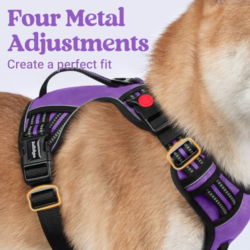 Large Dog Harness (Small / Purple)