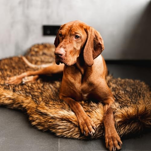 Faux Fur Orthopedic Dog Bed (Brown / Giant)