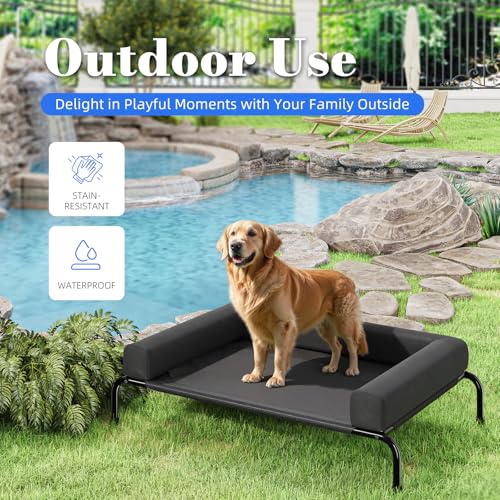 Elevated Dog Bed for Large Dogs with Bolsters (Black / 47.75"L x 31"W x 8"H)
