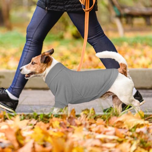 3 Pack Dog Sweaters for Large Dogs (Large / Gray Royal Blue Navy)