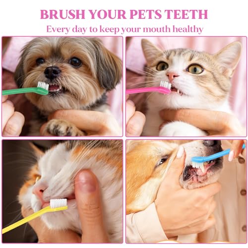 200Pcs Dog Toothbrushes (200pcs-8 Colors)
