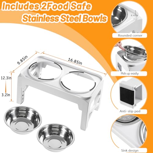 Elevated Dog Bowls with 2 Stainless Steel Food & Water Raised Bowls with No Spill Edge Non (M (8" for M/L Dogs) / White)