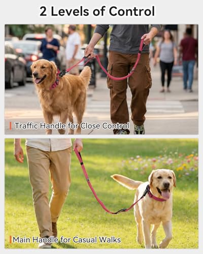 Tactical Bungee Dog Leash (Hot pink)
