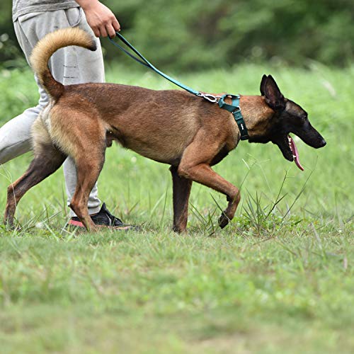 Short Dog Leash 18" (Dark Green / 18 Inches)