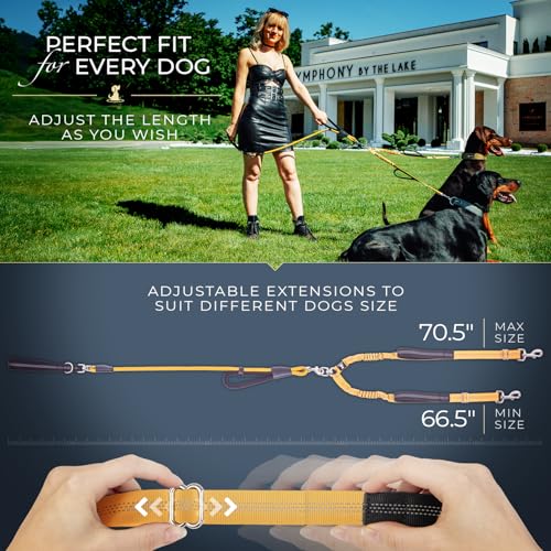 Premium Double Leash for Two Dogs (Adjustable Premium Silver)
