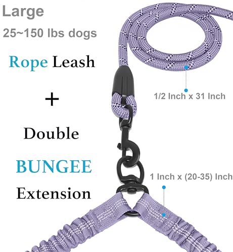 Double Dog Leash (Lavender / Large)