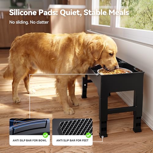 Elevated Dog Bowls