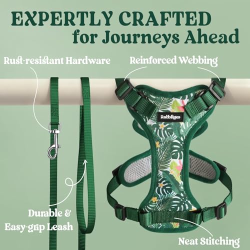 Cat Harness and Leash Set (S / Rainforest Green)