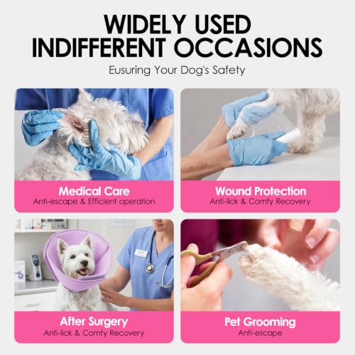 Dog Cones for Medium Dogs (Purple / Medium)