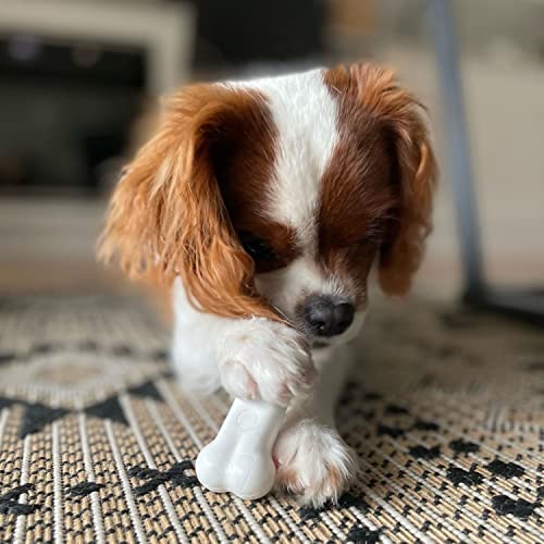 Power Chew Original Bone Dog Chew Toys (Small)