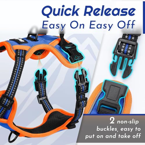 Dog Harness for Medium Sized Dogs (Medium / Blue & Orange)