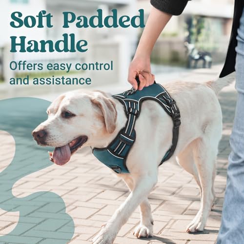 Large Dog Harness (Large / Green)