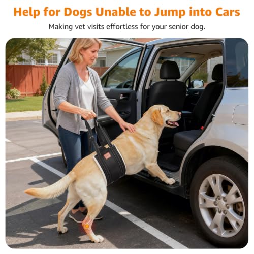 Adjustable Dog Sling for Large Dogs Hind Leg Support ACL Recovery (Extra Large)