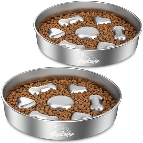 2Pcs Slow Feeder Dog Bowls (5 Cups / Silver/2 Pack)