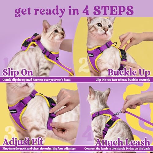 Cat Harness and Leash Set (Xs / Purple & Yellow)