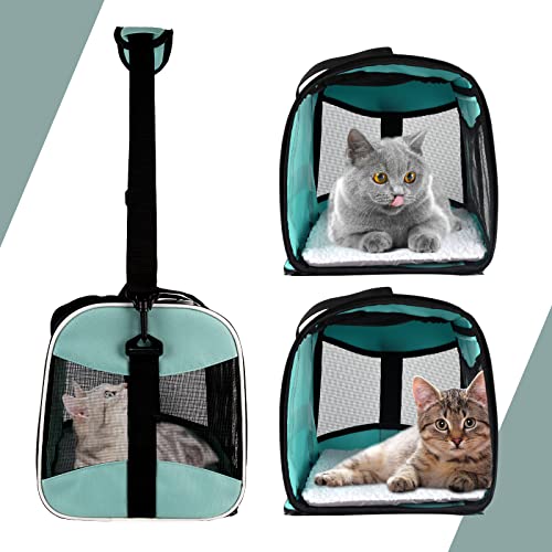 Cat Dog Carriers Soft (green / 17.0"L x 11.0"W x 11.0"H)