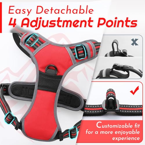 Dog Harness for Medium Sized Dogs (Medium / Red)