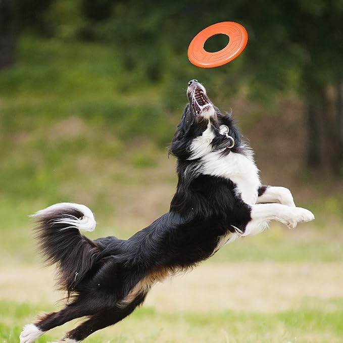 Atomic Flyer Outdoor Dog Toy (Orange / 10 Inch)