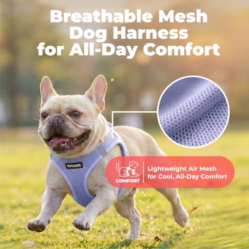 Voyager Step in Air Dog Vest Harness (Lavender / S (Chest: 14.5 - 16"))