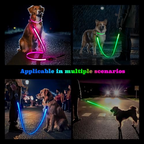 4 Ft LED Dog Leash (4 Ft)