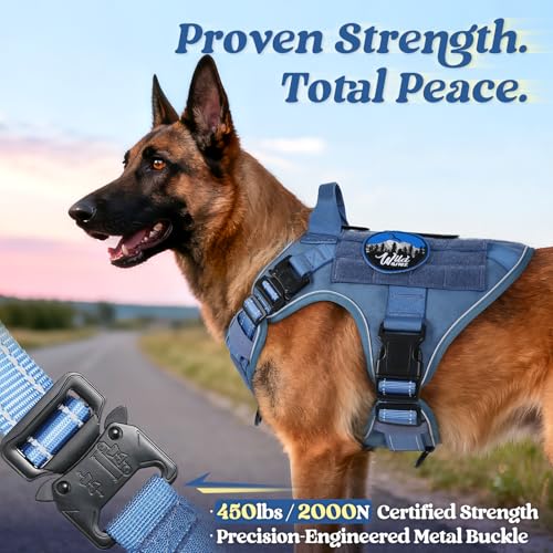 Tactical Dog Harness for Small (Blue Reflex / Small)