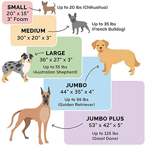 Orthopedic Dog Bed for Large Dogs w (Jumbo / Minky Chocolate)