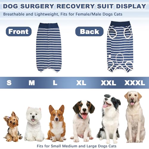 Recovery Suit for Dogs (Blue / X-Large)
