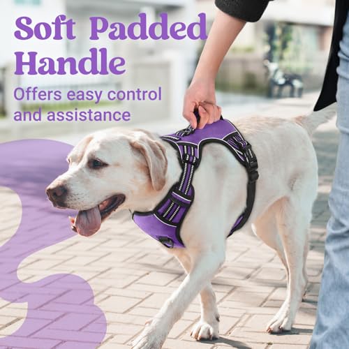Large Dog Harness (Small / Purple)