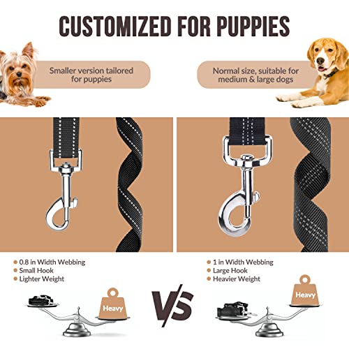 Dog Seat Belt for Car (A.Black)