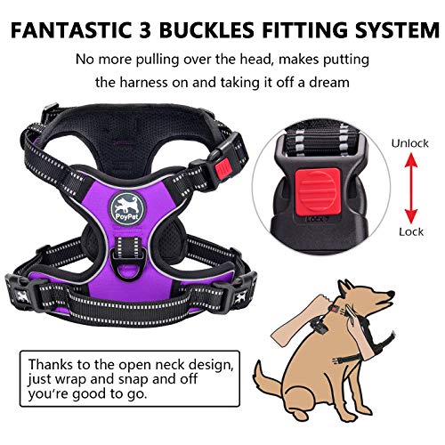 No Pull Dog Harness Small with Front Clip & Neck Release Buckle (S / Purple)
