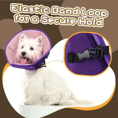 Soft Dog Recovery Cone Adjustable Stop Licking Wounds Purple M (Purple / M(Neck Girth:11.02"-14.17"))