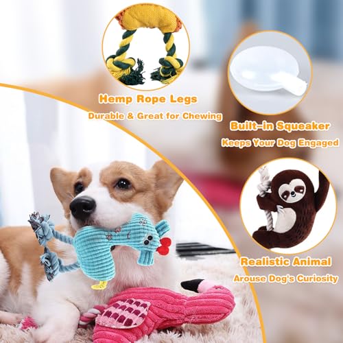 5 Pack Plush Dog Toys with Rope