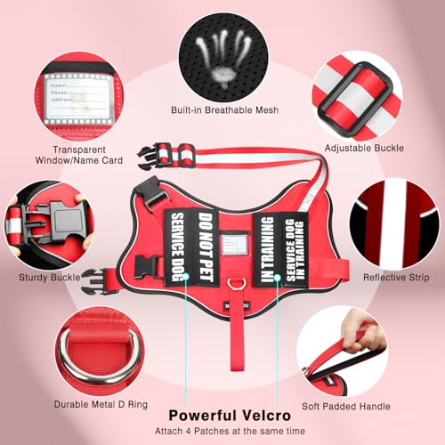 Service Dog Vest Harness and Leash Set+10 Patches (Extra-large / Red)