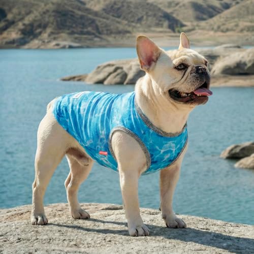2Pack Dog Shirt for Small Dogs Soft Breathable T (Small (4-7lbs) / 1# Polar bear+Ice)