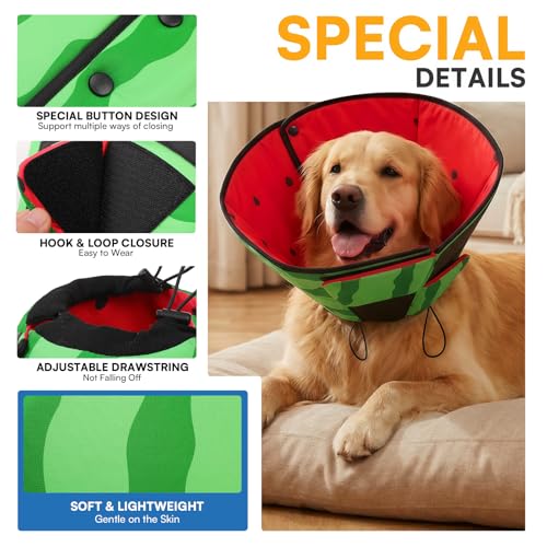 Dog Cone Cone for Dogs to Stop Licking (M / Watermelon)