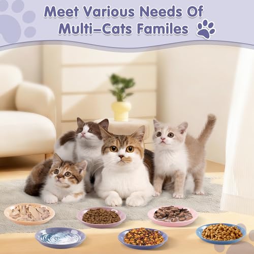 6 Pack Cat Food Bowl (CaiSe-A)