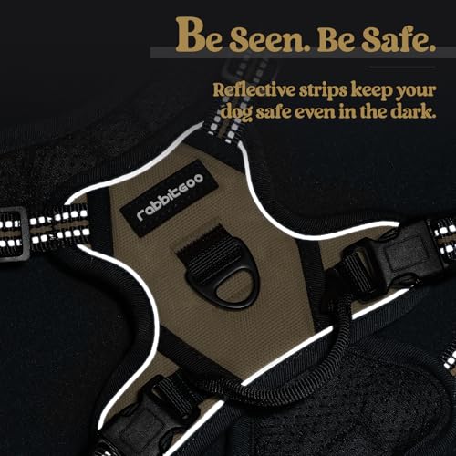 Dog Harness No Pull with 2 Leash Clips (X-Small / Beige)