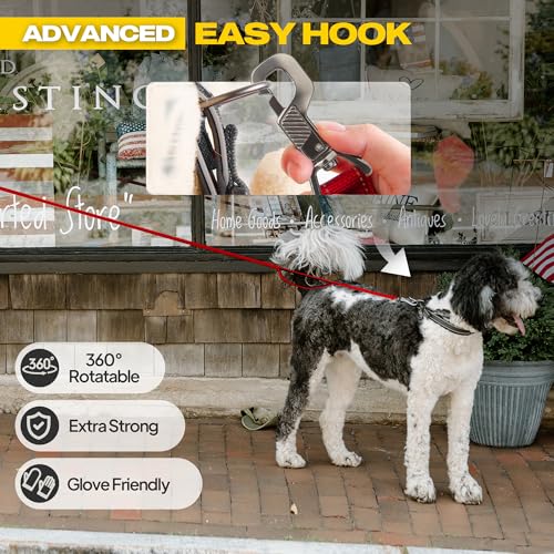 10 FT Heavy Duty Dog Leash (10 Feet (Pack of 1) / Red)
