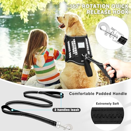 Service Dog Vest Harness and Leash Set+10 Patches (Small / Black)
