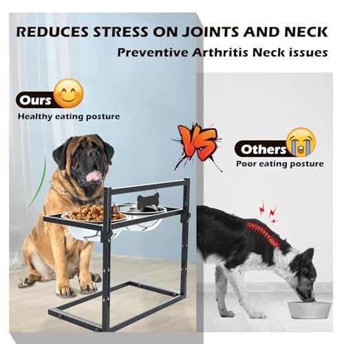 Elevated Dog Feeder for Large Breeds (x-large dogs)