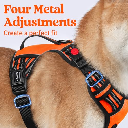Large Dog Harness (Small / Orange)