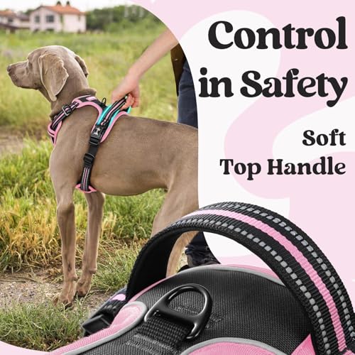 Dog Harness Medium Sized (Medium / Black & Pink)