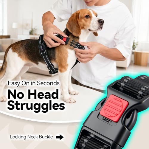 No Pull Dog Harness with Handle Front & Back Clip (Extra Large / Misty Green)