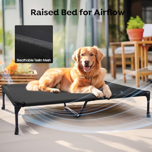Outdoor Elevated Dog Bed with Waterproof Bolster Cushion (Black / 49.0"L x 33.0"W x 9.0"Th)