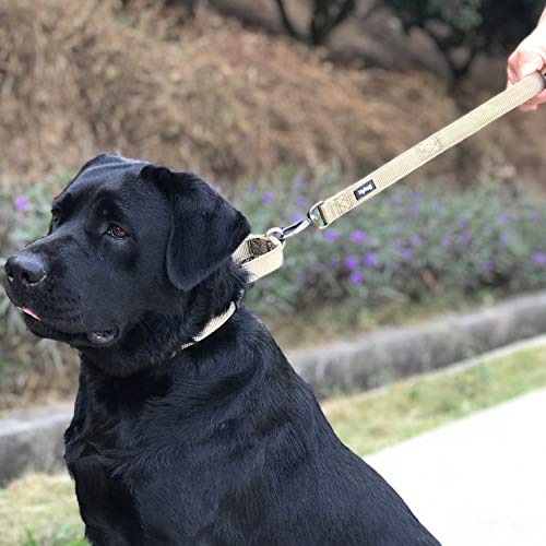 Short Dog Leash 18" (Military Green / 18 Inches)