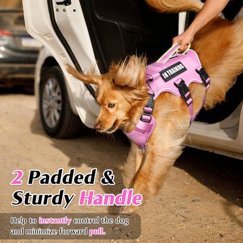 Escape Proof Dog Harness with Double Handle+4 Removable Patches (X-Large / Pink)