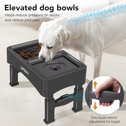 2-in-1 Elevated Dog Bowls Set with 4 Height Adjustable Stand, Balck (no)