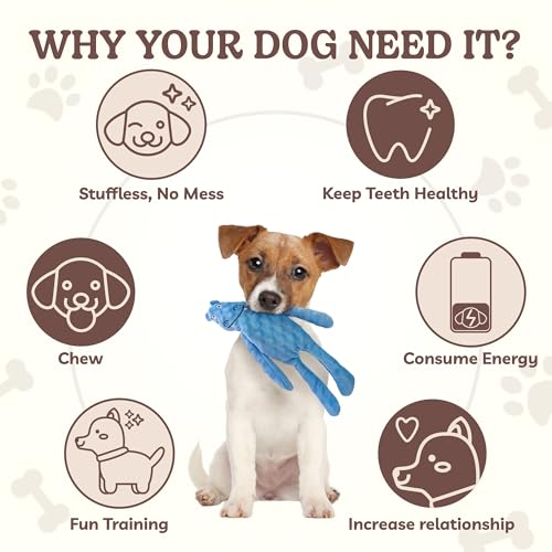 No Stuffing Dog Toys 5 Pack (For Medium and Large Breed / 1 Pack - Hippo)